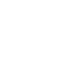 Grok — המדריך המלא