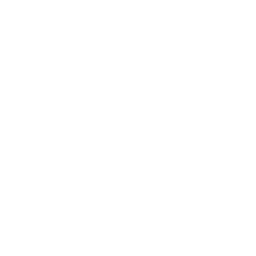 Perplexity — המדריך המלא